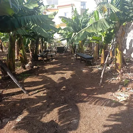 Ecoborges *