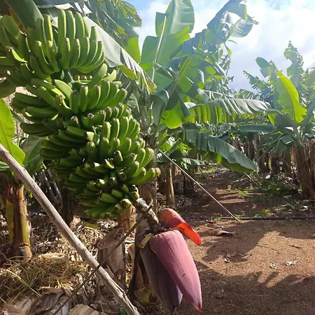 Casa de Férias Ecoborges *